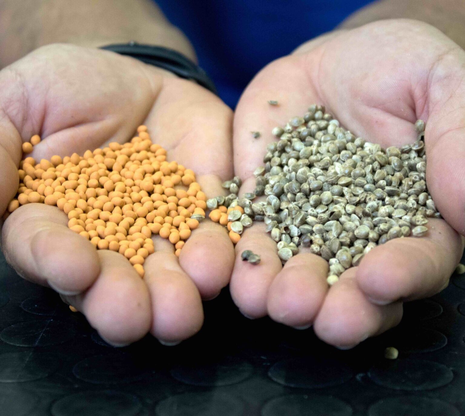Fitochimica: scopri tutti i nostri prodotti per l'agricoltura