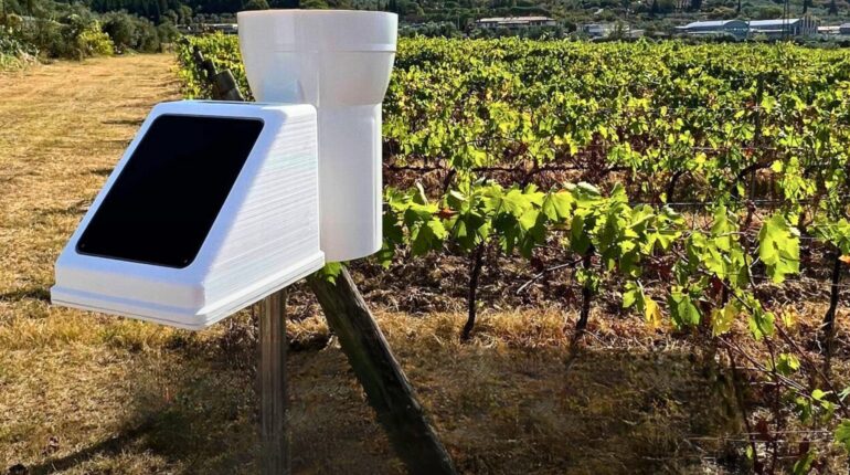 Servizi &raquo; 7 &raquo; agricoltura sardegna