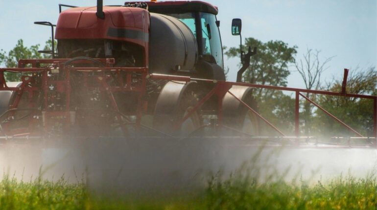 Servizi &raquo; 13 &raquo; agricoltura sardegna